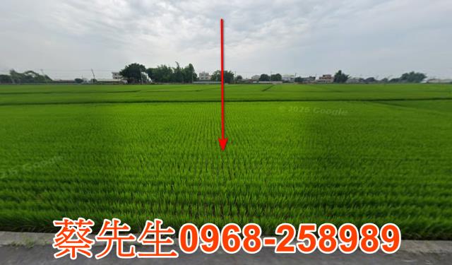 埤頭光復路農地種植經濟農作物果樹