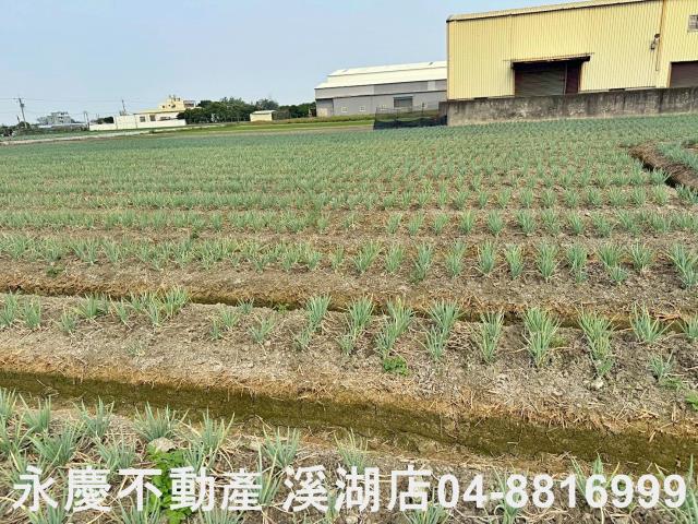 彰化埔鹽農地-11