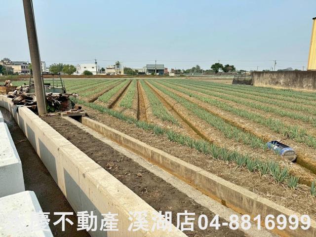 彰化埔鹽農地-13