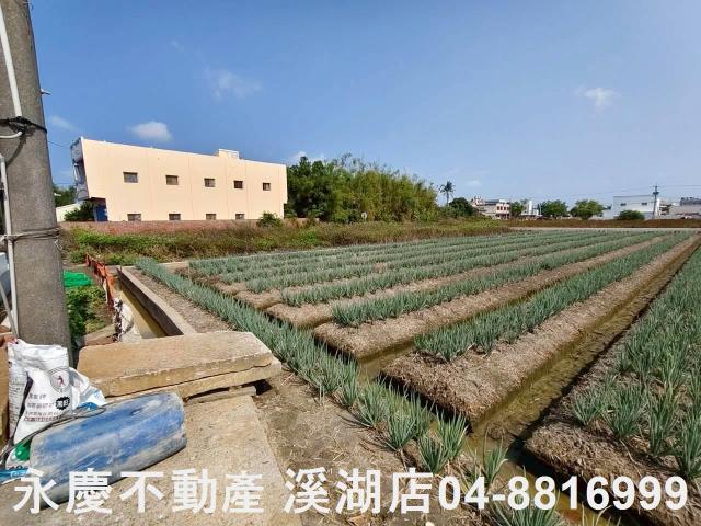 彰化埔鹽農地-2