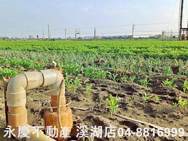 芳苑農地-7