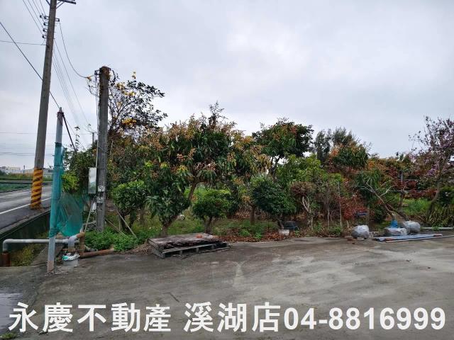 溪湖農地-12