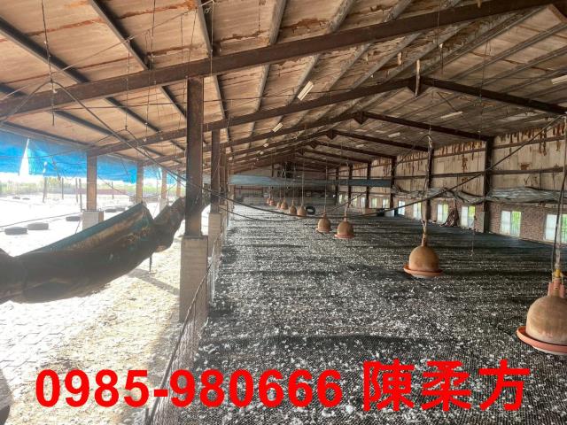 六腳農地-8