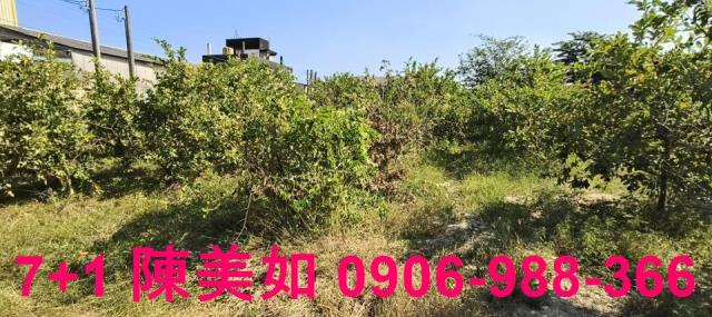 鳥松漂亮都內農地保護區3