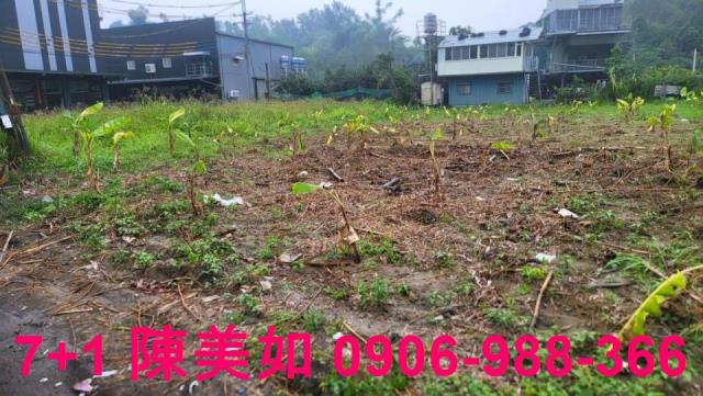 大社漂亮農地