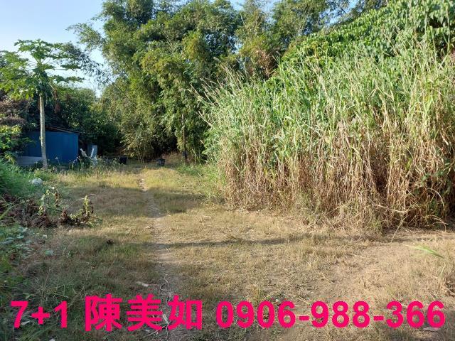 近橋科交流道最夯有淺力優等都內農地
