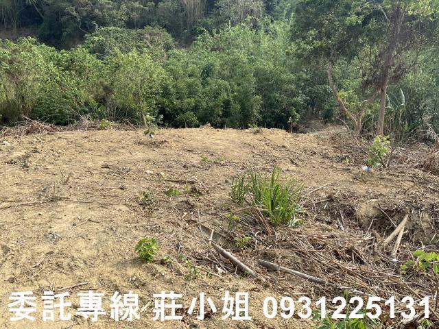 台南新化農地-10