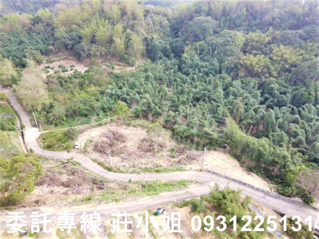 台南新化農地-1