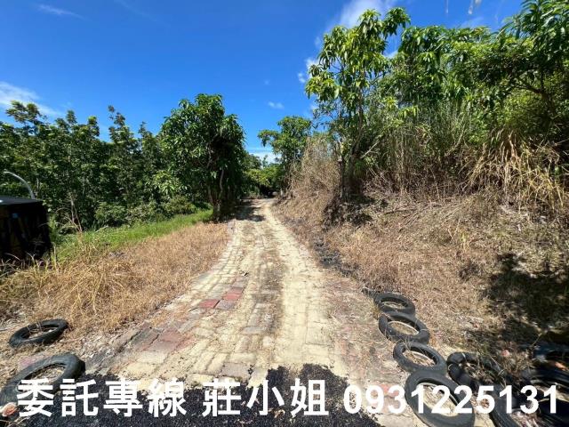 台南南化農地-3
