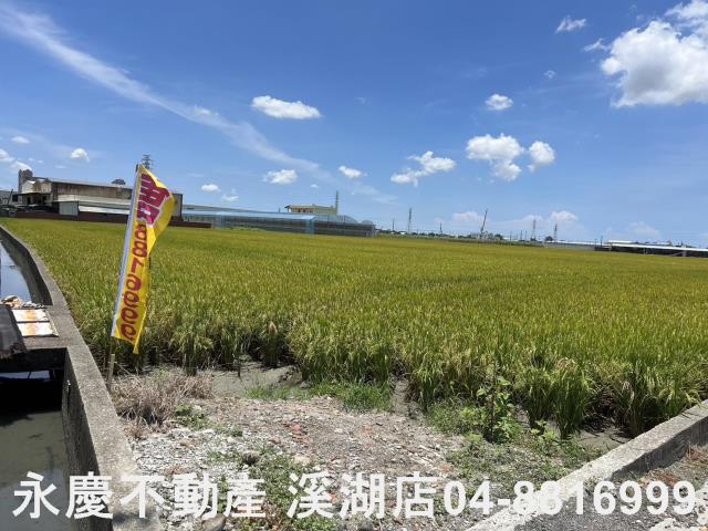 埔鹽農地-10