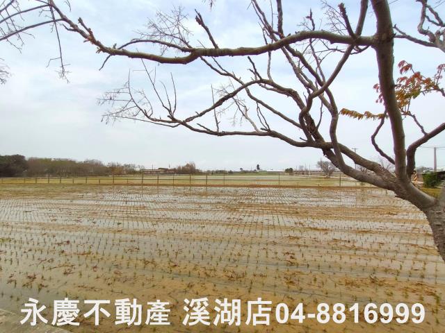 埔鹽農地-9
