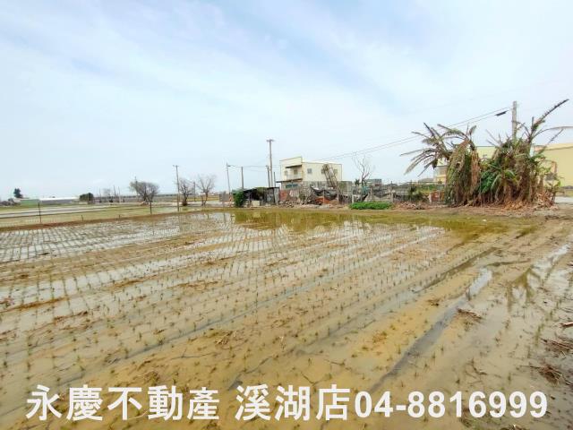 埔鹽農地-5