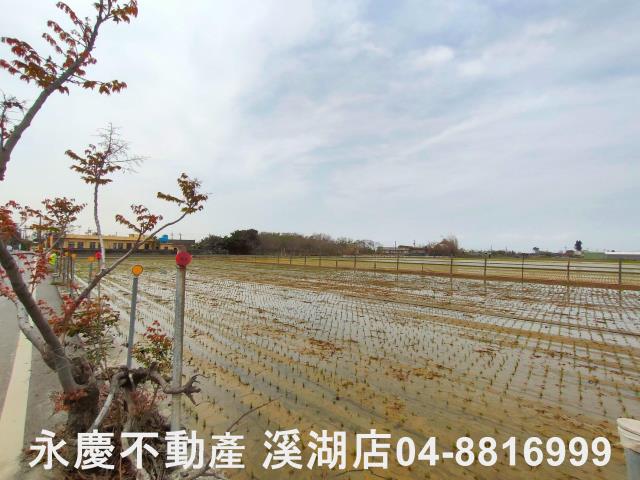 埔鹽農地-7
