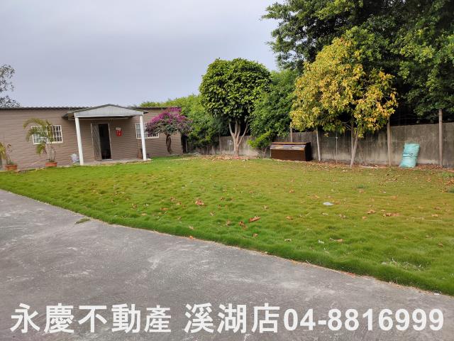 埤頭農地-8