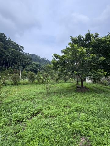 北埔綠世界旁小坪數優質農地