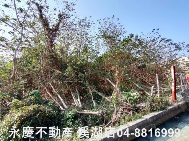 埔鹽農地-6