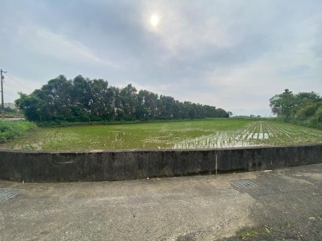 觀音農地-8