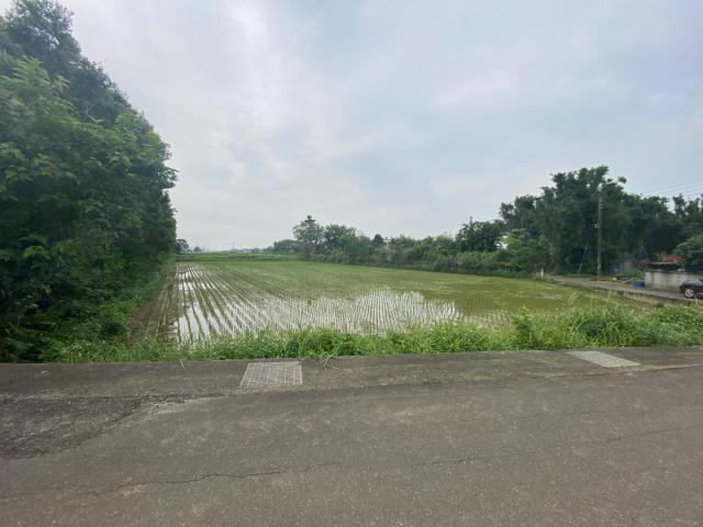 觀音農地-3