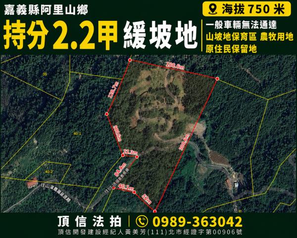 嘉義新港安和近高鐵便道441坪農地