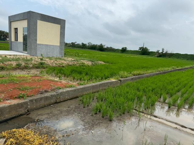 桃園農地-5