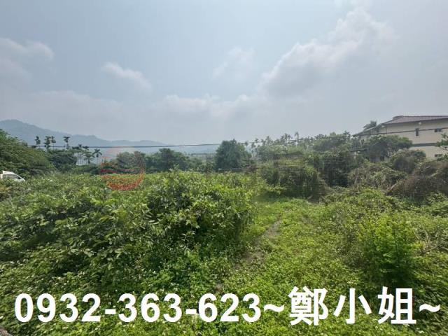 南投竹山農地-11