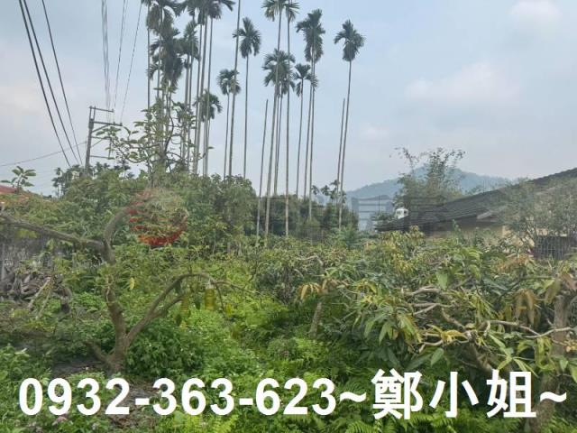 南投竹山農地-13