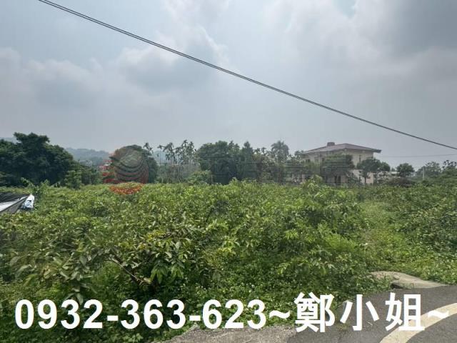 南投竹山農地-14