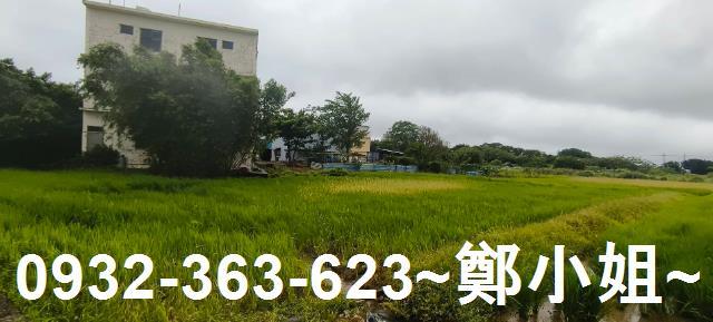大園農地挑高廠房