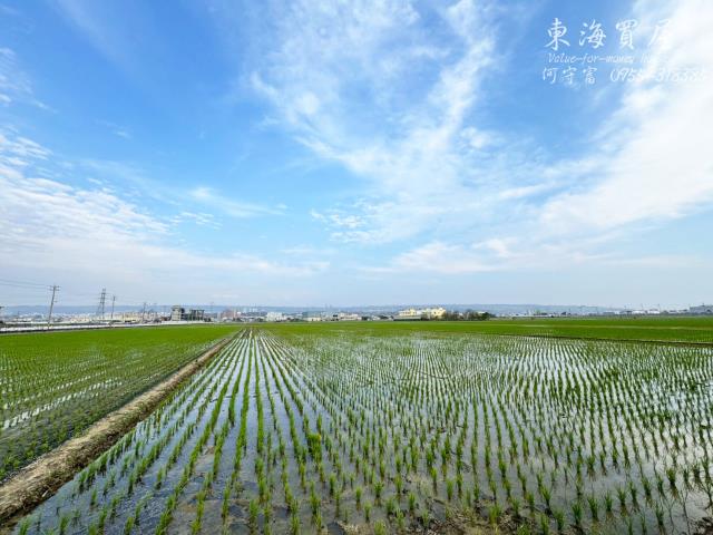龍井農地-10