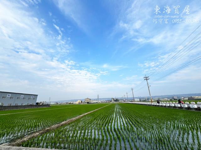 龍井農地-6