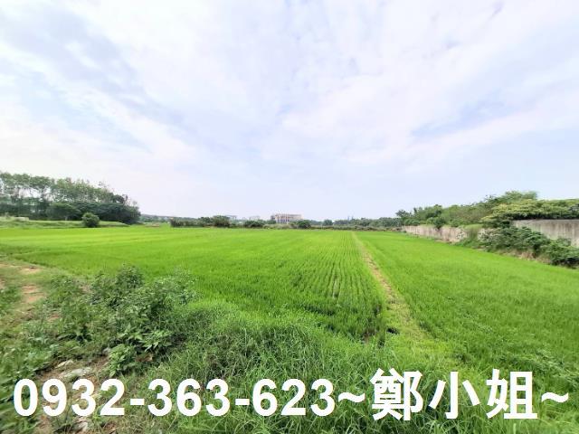 蘆竹農地-6