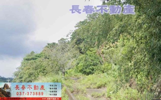 三義農地-1