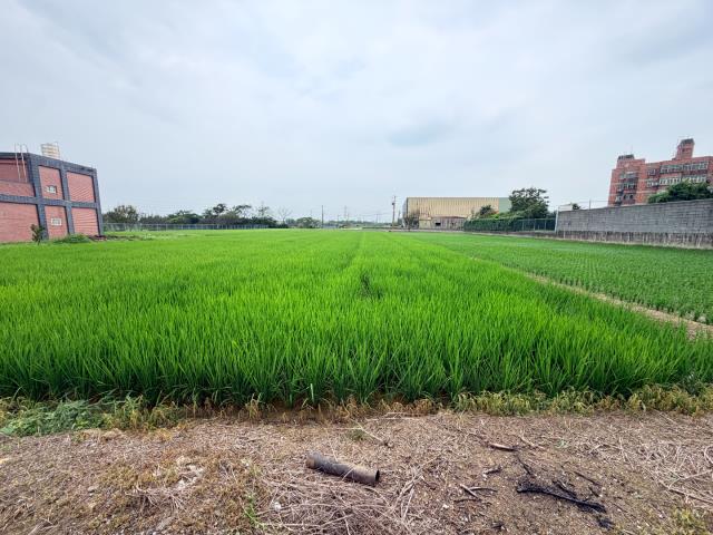 育仁國小