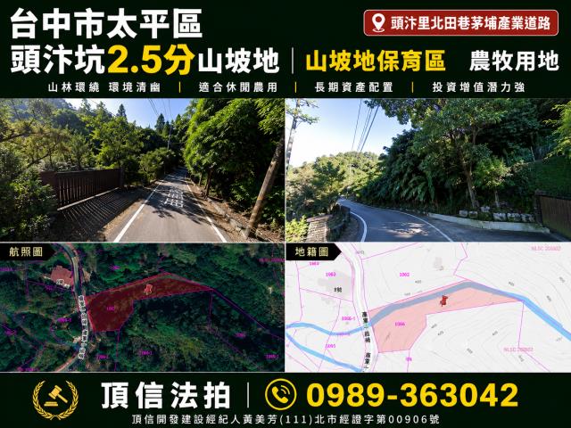太平法拍農地-0