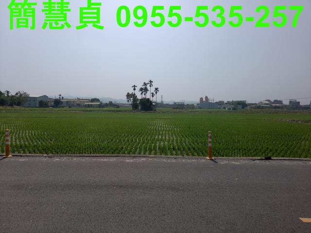 大里農地-1