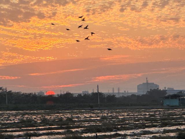 橋頭農地-9