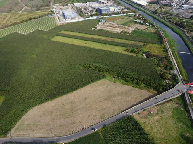 橋頭農地-2