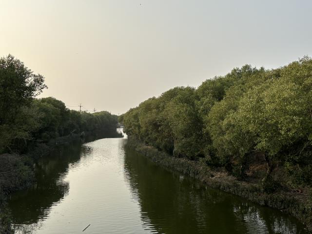永安農地-7