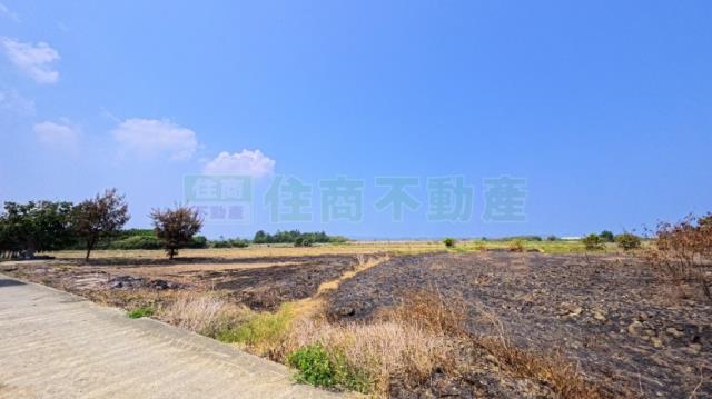 屏東農地-7