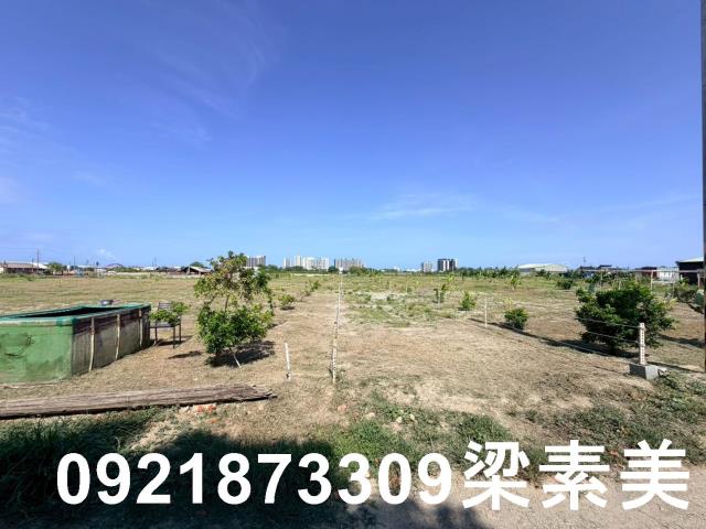 台南仁德農地-0