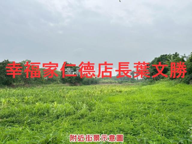 善化農地-13