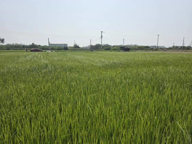 岡山農地-2