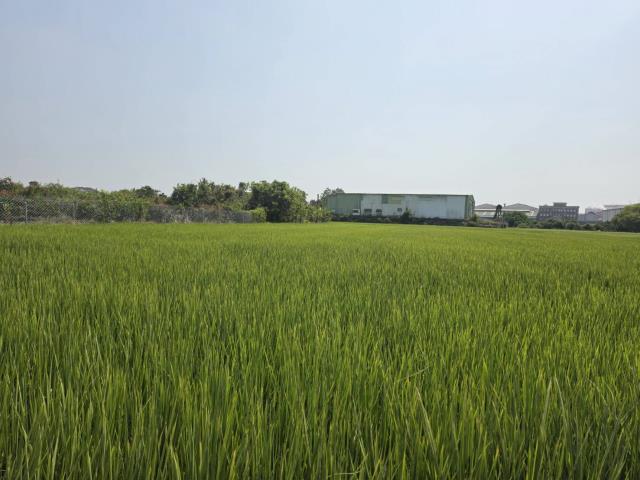 岡山農地-1