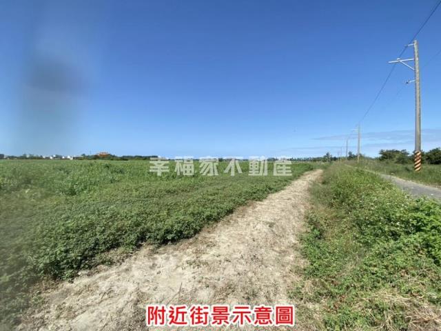 七股農地-12
