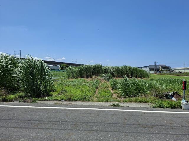 歸仁農地-9