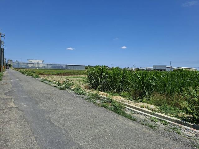歸仁農地-2