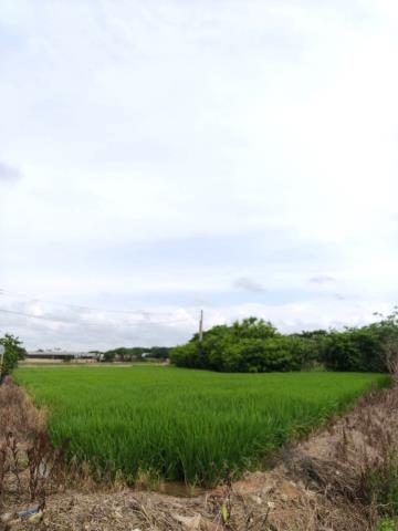 桃園農地-1