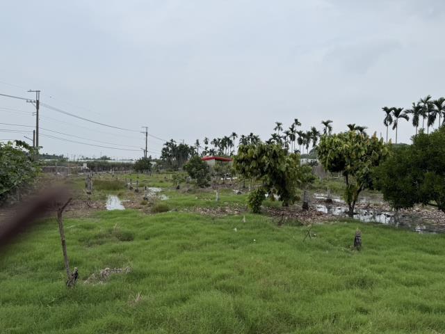 屏東鹽埔農地-5