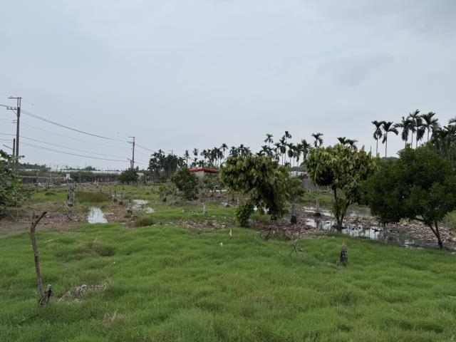 屏東鹽埔農地-6