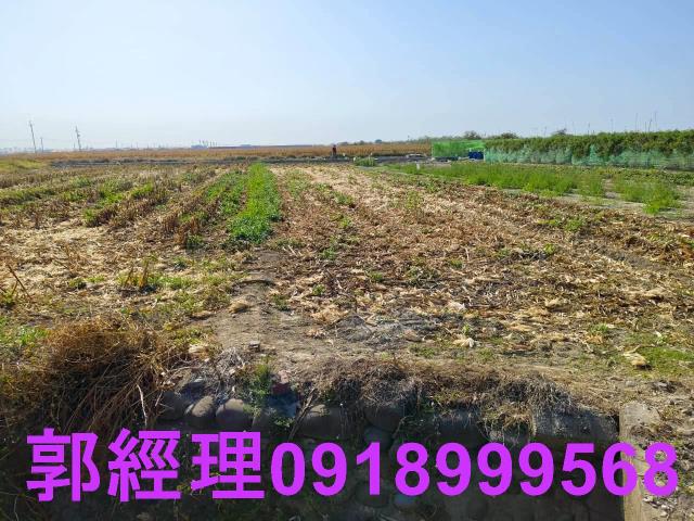 台南佳里農地-4